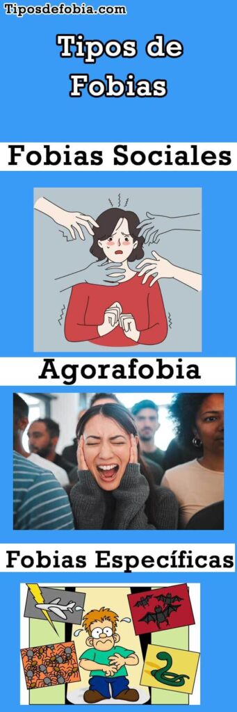 Infografía de los tipos de fobias